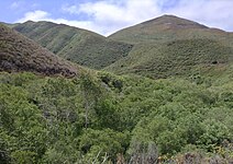 Montaña de Oro