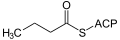 Deutsch: Struktur von Butyryl-ACP English: Structure of butyryl-ACP