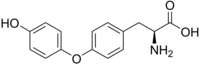 Image illustrative de l’article Thyronine