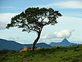 View from Ambewela, Sri Lanka