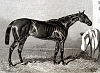 Etching of 1856 Epsom Derby winner Ellington