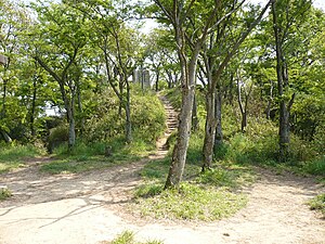 飯盛山城（主曲輪跡）