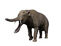 Platybelodon