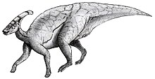 Parasaurolophus