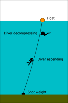 diagram of a shot line showing the weight at the bottom and float at the surface connected by a rope, with a diver ascending along the line and another using the line as a visual reference for position while decompressing.