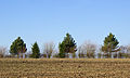 * Nomination Trees on Grantchester Meadows, Cambridge (north view) --Heuschrecke 09:34, 5 March 2013 (UTC) * Decline Insufficient quality. CA and blurred foreground --Moroder 21:58, 6 March 2013 (UTC)