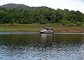 Boat safari at the Periyar wildlife sanctuary in Kottayam district of the south central Kerala.