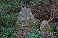 Ruines du cimetière juif de la ville.