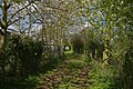 2012-11-28 Nibley Lane in Yate, Gloucestershire.