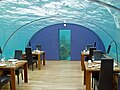 Image 15Ithaa, the first undersea restaurant at the Conrad Maldives Rangali Island resort (from Hotel)