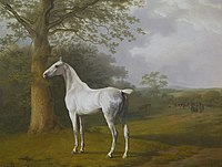 White Horse in Pasture , 1806-1807, óleo sobre tela, Fundação Oskar Reinhart, Winterthur