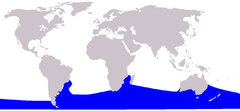 Distribuição global da baleia-franca-austral