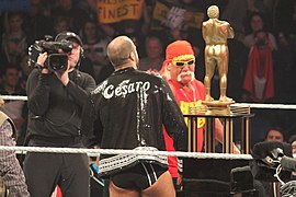 WWE Raw IMG 5772 (13773054513).jpg