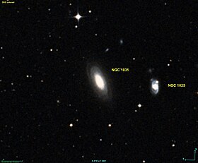 Image illustrative de l’article NGC 1031