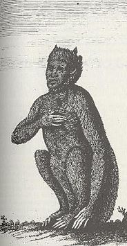 Ian Woodward-en The Werewolf Delusion (1763) liburuan ageri dan gizatigre bat,.