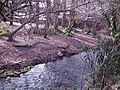 Vista del río Majaceite en El Bosque