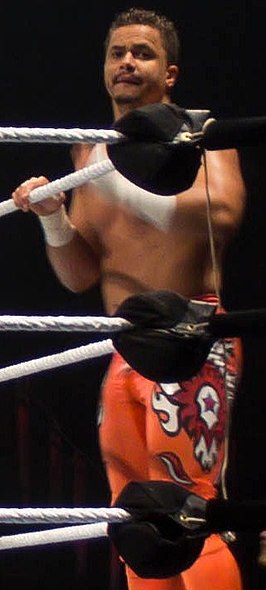 Primo in 2011