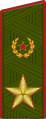 Генера́л а́рмии General armii (Russian Ground Forces)[21]