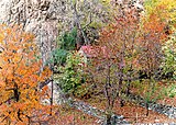 Šomalska bjelogorica, Alborška pokrajina