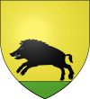 Blason Famille de Sanglier