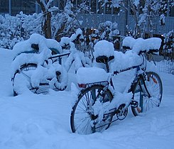 Bicycles in the snow