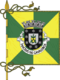 Flagge des Concelhos Macedo de Cavaleiros