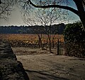 Vignoble du Domaine de Lunard