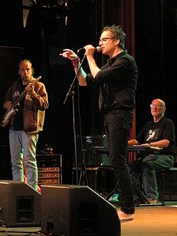 Thorsten Flinck uppträder på Peace and Love i Borlänge 2010.