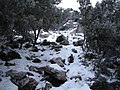 Última part de la pujada al Torreón nevat