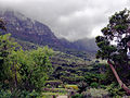 * Nomination Kirstenbosch botanical gardens, South Africa. The craggy edge of Table Mountain is visible in the background.(by User:Prosthetic Head) --Masumrezarock100 22:07, 26 September 2019 (UTC) * Promotion Good quality. --Moroder 06:09, 1 October 2019 (UTC)