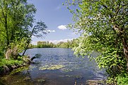 Borner See im Naturpark Schwalm-Nette