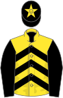 Yellow, black chevrons and sleeves, black cap, yellow star