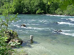 Ràpids amb aigua blanca, a prop de les cascades del Rin