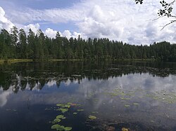 Askeleentakasen pohjoisosaa.