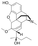 Chemical structure of Etorphine.