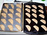 Parker House rolls, before baking