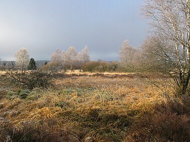 Landscape of the Hautes Fagnes, in East-Belgium.