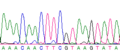 DNA sequence