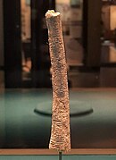 Photo of the Ishango bone