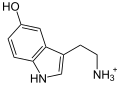 Deutsch: Struktur von Serotonin (5-HT) English: Structure of serotonin (5-HT)