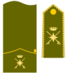 General de brigada