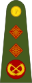 Lieutenant-general Leifteanant-ghinearál[२५] (Irish Army)