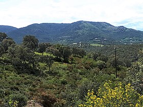 Vue du mont Helena depuis l'est.