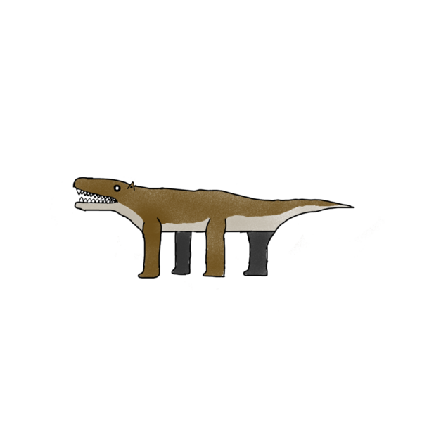 File:Pseudotherium HK.png