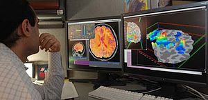 Researcher checking fMRI images.