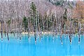 北海道美瑛町の観光名所「青い池」は砂防ダムへの貯水で生まれた名所である