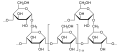 Deutsch: Struktur von Glykogen English: Structure of glycogen