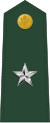 Brigadier general