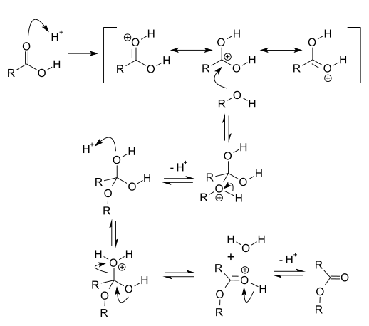 Fischer esterification mechanism