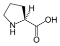 Prolina (Pro / P)